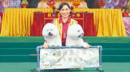 鄺美雲與愛犬Cash及Euro為佛誕嘉年華表演。