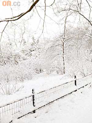 雪地美景