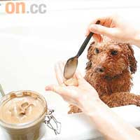 美容師替狗狗塗抹寵物專用的海泥，有效對付毛髮內細菌，紓緩炎症帶來的痕癢，降低敏感皮膚引致的紅疹。敷海泥Mask期間，美容師會替寵物按摩每個重點穴位10至15分鐘。