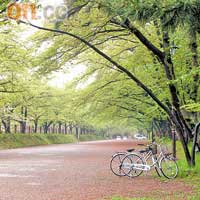 雖然櫻氣已過，弘前城的綠意更有詩意。