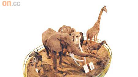館中央的非洲動物廳，幾隻大型動物標本，非常搶眼。