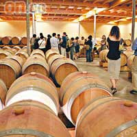 酒窖內存放了上百個入滿葡萄酒的橡木酒桶，要存放最少12個月才會推出巿面。