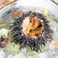 北海道海膽$300<br>八月當造的紫海膽，從日本直送過來，除食出新鮮，還感受到甜味及海水味混和一起。