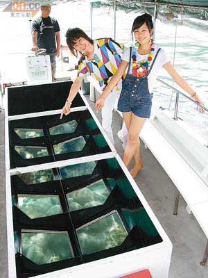 坐玻璃船欣賞珊瑚，唔使浸濕身，唔識游水都得，是暑假的最好節目。