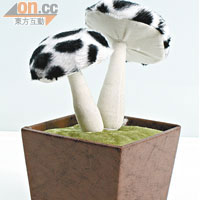 跟壽司飾物盒同屬最新出品的蘑菇飾物盒，好可愛呀！$140（a）