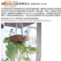 綠色媽媽以網誌宣揚綠色理念，更教人用廚餘種植，其網誌是hk.myblog.yahoo.com/IIsbetty。