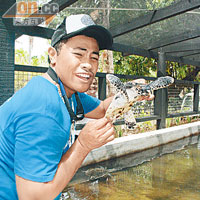 島上設有大型水池，飼養了數隻海龜，讓住客可近距離觀察。