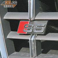 鬼面罩上的S5廠徽，象徵着高性能的身份。
