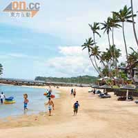 酒店的沙灘透過茂密棕櫚樹群洋溢着濃濃熱帶風情。
