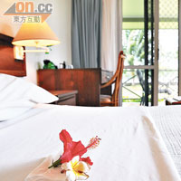 Madang Resort每間房都是獨立式木屋，簡約整潔。