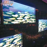 走廊牆壁置有LED電視播放「魚樂無窮」，又有真實魚缸養着生猛海鮮，真假交錯形成視覺趣味。