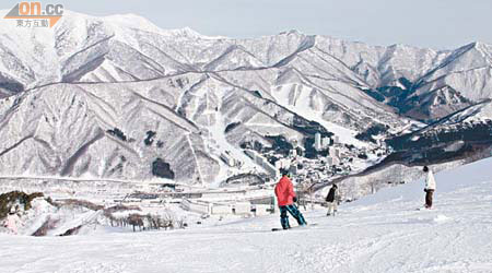 2011年是紀念日本滑雪100周年，來到「元祖滑雪天國」新潟，滑雪變得好有意義。