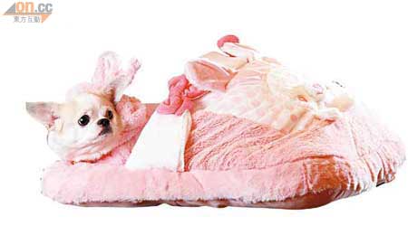 粉紅兔狗床，被鋪式設計，再加一個小枕頭，襯晒狗公主。$450（a）