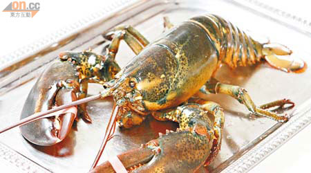 Whole Baked Maine Lobster 時價<br>焗原隻龍蝦最能嘗到原汁原味，肉質肥美的大鉗、豐腴滿瀉的蝦膏，鮮香味美到不能，肯定一試難忘。 