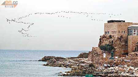 一群候鳥於巍峨的海岸古城上空飛過，構成美麗的畫卷。