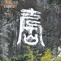 山壁上還刻了個大大隻「壽」字，來配襯這條長壽村。