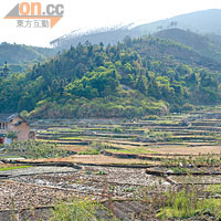 除了建築壯觀，洪坑土樓一帶享有優美的梯田景色。