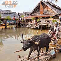 市場處處融入泰國特色，包括農耕文化。