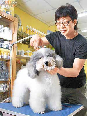 Vicardo認為有愛心、耐性、能吃苦等是成為寵物美容師的重要條件。