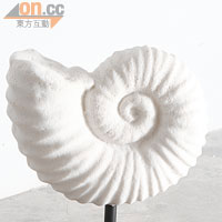有說把貝殼放近耳邊，能聽到海浪聲，若然換上大大個白玉貝殼雕塑，可會聽到巨浪聲？$962