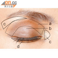 a.先在整個眼窩處，掃滿橙色眼影。b.眼蓋位置則塗搽啡色眼影。c.分a別在眉骨和眼頭位置，掃上閃金色眼影，突出輪廓。d.於下睫毛處掃條柔和的啡色眼線，能令眼部更深邃分明。