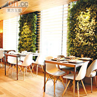 餐廳運用大量木材、日光及綠葉相互配合，好一個室內法式花園，環境摩登而不失輕鬆舒服。