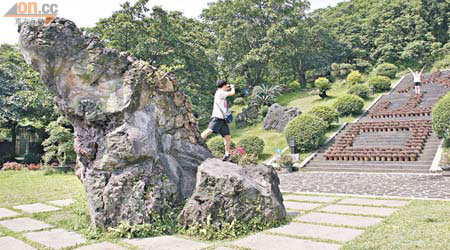園內有不少天然火山奇石，眼前這一大塊，形狀有點像金蟾。