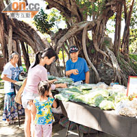 「周末好事集」在台東鐵路遺址的博物館前舉行。