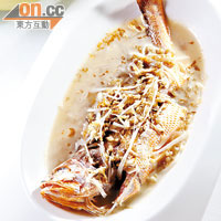 野生中黃魚<br>名貴的野生黃魚用雪菜及筍絲去燒，味道鹹鮮肉又嫩，難怪成為寧波名菜。