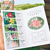 小清水原生花園設有紀念郵票，以花園的代表性花朵作招徠，¥800（約HK$81）。