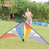 特技風箏外形獨特而且顏色繽紛，雙手一拉便可起鳶。