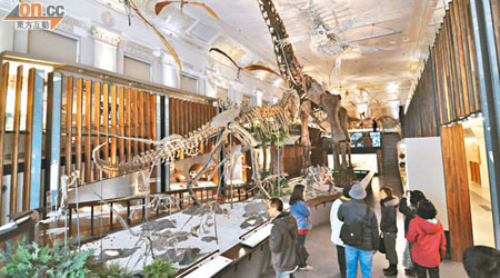 銀行大廳中，竟有成隊恐龍，像看緊《翻生侏羅館》。