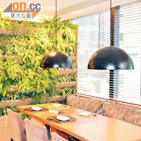 近年大熱的Plant Wall，為餐廳打造自然環境，配以窗外街景，更覺舒泰。