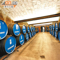 來到Freixenet這個巨型酒莊參觀，可親身到有百年歷史的酒窖之中了解Cava的Aging過程。