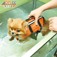 場內備有寵物水療設施，加上店主曾到台灣學習，十分專業。寵物水療服務每節15分鐘，按狗隻重量收費。$200起