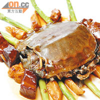 古法炆元菜$680<br>元菜其實是水魚，是上海人眼中最名貴的菜式之一。這裏做法依足傳統，用冬筍、冬菇、五花腩炆，風味十足。