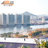 置身空中花園，市內的Suyeong河景致盡收眼底。