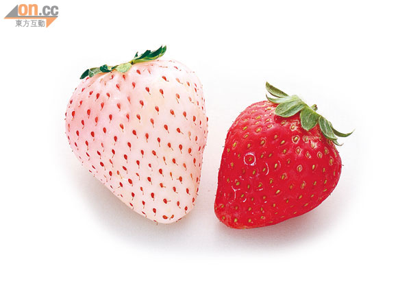 So Sweet！So Strawberry！
