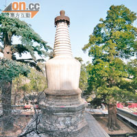 陵舍利塔，又名松柏抱塔，是清代雍正年間寺內住持迦陵禪師的墓塔。