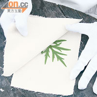 REC 艾草托印法<BR>先揀選形狀漂亮分明的樹葉，把有蠟面的一邊印向棉布的底部。