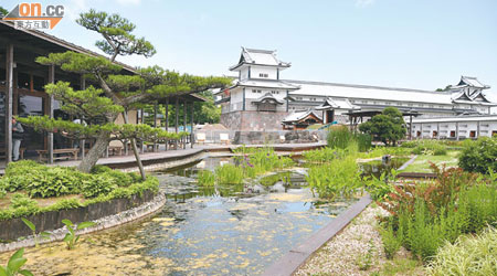在景色優美的兼六園，回望金澤城，更能感受它的美態。