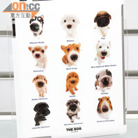 The Dog iPad 2殼<br>原價：$546　開倉價：$299