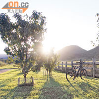踩着單車於山谷中走動，是欣賞這個綠色國度，感受原始大自然的最佳選擇。