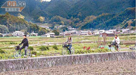 在奈良飛鳥的田間阡陌，整齊而筆直，騎單車也非常輕鬆。