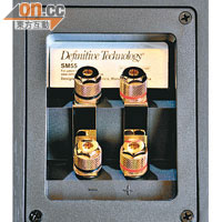 支援Bi-wire喇叭線插口，經鍍金處理後令音訊傳送更為直接。