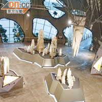 中層設有一個鐘乳石展廳，與潮濕的雨林截然不同。