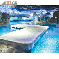 館內有巨型浮冰供動物休息。