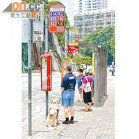 只要對導盲犬說「巴士站」，牠便會引領到經受訓前往的巴士站停低，相當聰明。