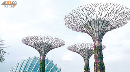 新開幕的Gardens by the Bay，園內巨樹有幾分似遊戲背景。