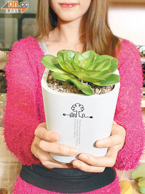 以煤炭物料製成再生花盆，最適合用來孕育欣欣向榮的植物。$135
